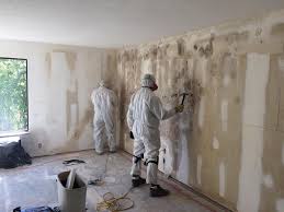 Best Mold Remediation for Rental Properties  in Bethlehem, PA